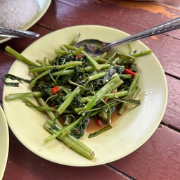 ผักบุ้งไฟแดง