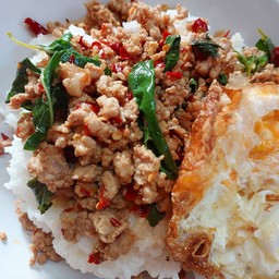 กะเพราบ้านบ้าน โฮมเมดเพื่อคุณ