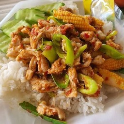 ร้านทิพย์บ้านกระเพรา