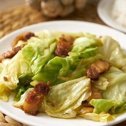 ชมวิวอาหารป่า