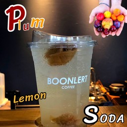 ใครบ๊วย ไม่มี๊!!!! Plum Lemon Soda