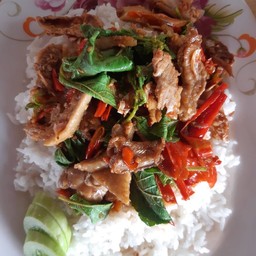 กะเพราเป็ด ก๋วยเตี๋ยวเป็ด ก๋วยเตี๋ยวไก่ ดอนตูม