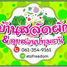 บ้านสลัดโรล & ลุยสวน ปทุมธานี