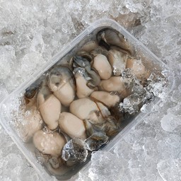 หอยนางรมจัมโบ้ ไซร์ใหญ่ 1 กล่อง