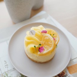 LEMON CHEESECAKE