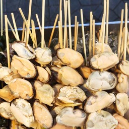 หอยแมลงภู่