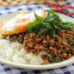 🌶️โคตรกระเพาะ(รับทำข้าวกล่อง) นาป่า