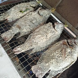 เกชาปลานิล