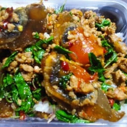 กระเพาไข่เยี่ยวม้าราดข้าว