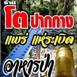 ร้านโต ปากกาง แพร่ แห่ระเบิด อาหารป่า