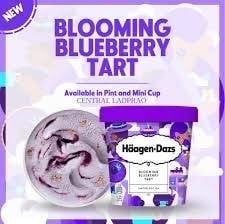 Bloomming Blueberry (Pint)