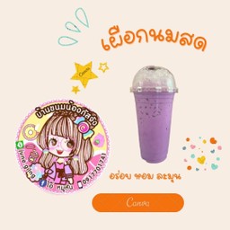เผือกหอมนมสด