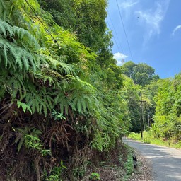 ทางขึ้น