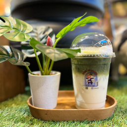 นมสดชาเขียวเย็น (ใส่แก้ว)