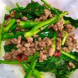 คะน้าหมู สับ ราดข้าว