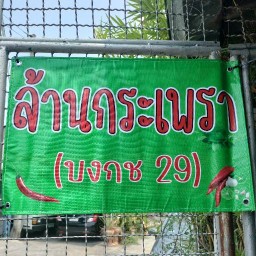 ล้าน กระเพรา ( บงกช 29 )