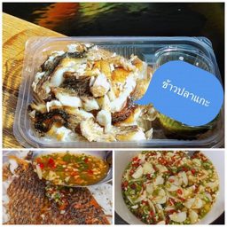 ข้าวปลาแกะ