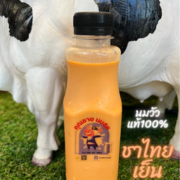 นมสดชาไทยเย็น(ชาตรามือ) (ขวด)