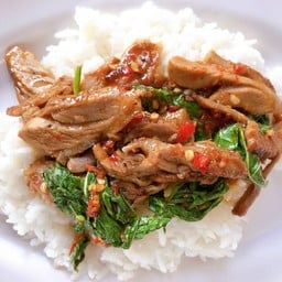 กระเพราเป็ดราดข้าว