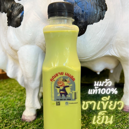นมสดชาเขียวเย็น (ชาตรามือ) (ขวด)