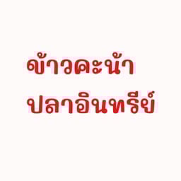 ข้าวคะน้าปลาอินทรีย์