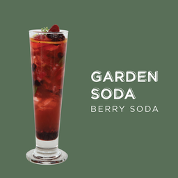 Berry Neighborly Soda