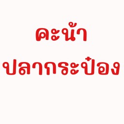 คะน้าปลากระป๋อง