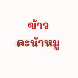 ข้าวคะน้าหมู