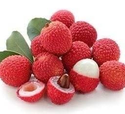 PURE CHA (เพียว ชา) ประชาสันติ