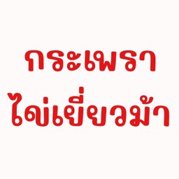กะเพราไข่เยี่ยวม้า