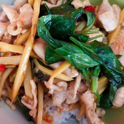 ผัดโหระพาหน่อไม้เหลือง