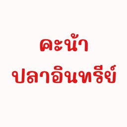 คะน้าปลาอินทรีย์