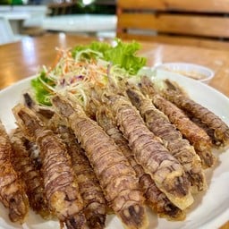 กั้งแก้วสด (เนื้อหวาน)