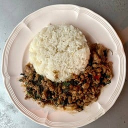 ข้าวขาหมู ปิ่นเกล้า สายใต้เก่า เวียงพางคำ