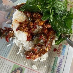 ไข่เยี่ยวม้ากระเพรากรอบราดข้าว