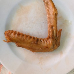 ปีกเป็ด