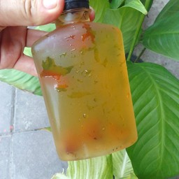 ลำใย+เเยก+น้ำเเข็งใส่เเก้ว