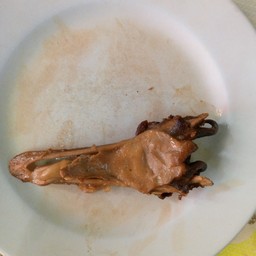 ปากเป็ด