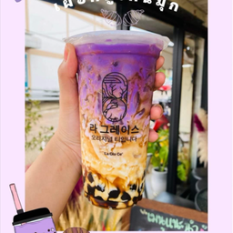 เผือกทูโทนบราวชูก้า