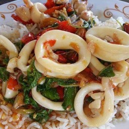 ข้าวราดกะเพราปลาหมึก