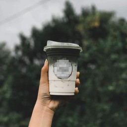 มัจฉาลาเต้