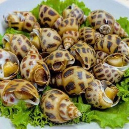 หอยหวานเผา(500g)