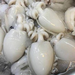 หมึกกระดองย่าง (500g)