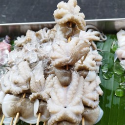 หมึกสายย่าง