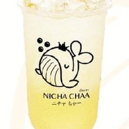 Nicha Chaa เอื้ออาทร