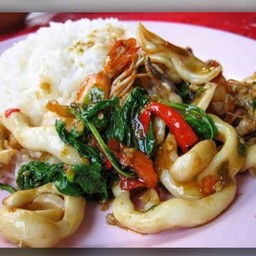 กระเพราปลาหมึก (ราดข้าว)