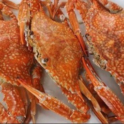 ปูม้าสดนึ่ง 4-5ตัวโล