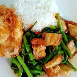 ผัดพริกเผา พริกหยวก  หมูกรอบ ราดข้าว