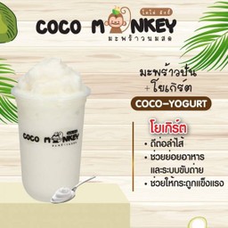 มะพร้าวปั่น+โยเกิร์ต