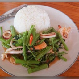ผัดผักบุ้งปลาหมึก (ราดข้าว)